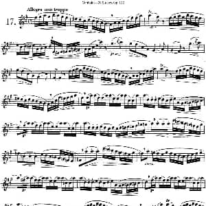 长笛曲谱 | 二十首练习曲作品132号之17 Garibold 加里波第