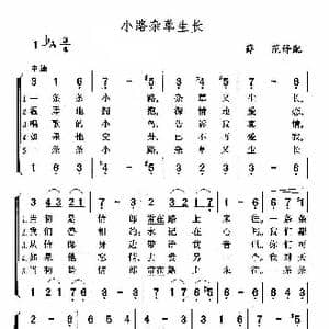 小路杂草生长_歌谱投稿