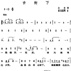 邓丽君演唱金曲 古树下_通俗唱法乐谱_词曲:庄奴 住出胜则