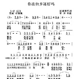 你在他乡还好吗_通俗唱法乐谱_词曲:刘慧星 黎荣军