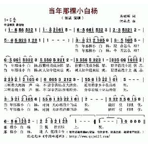 ​当年那棵小白杨_歌曲简谱_词曲:马昭辉 何永志