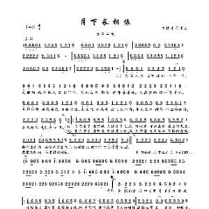 月下长相依_歌曲简谱_词曲:多情流星 多情流星
