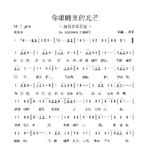你眼睛里的光芒_通俗唱法乐谱_词曲:海哥 海哥