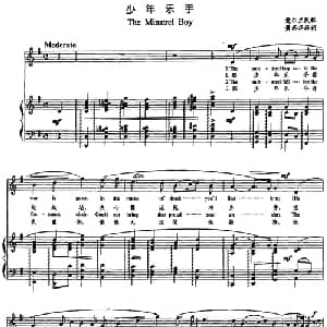 少年乐手 爱尔兰 _外国歌谱_词曲:萧而华译词 爱尔兰民歌