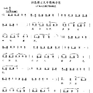 花鼓戏谱 | 但愿得老天爷赐福开恩 刘海戏金蟾 刘母唱段