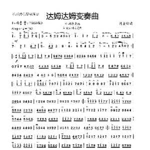 达姆达姆变奏曲_歌曲简谱_词曲:阿尔及利亚民歌 杨会林曲