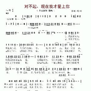 对不起,现在我才爱上你_歌谱投稿_词曲:张超 张超