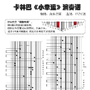 小幸运 拇指琴卡林巴琴演奏谱 徐世珍 吴辉福 JerryC
