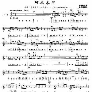 二胡谱 | 阿拉木罕 线 简谱混排版