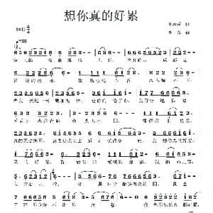 想你真的好累_歌曲简谱_词曲:王炳秀 李戈