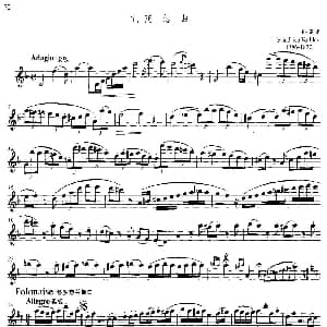 长笛曲谱 | 中高级练习 连奏与清晰吹奏练习 乐曲部分 随想曲 F 库劳