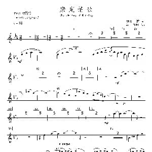 康定情歌 短笛分谱 陈丹 编曲