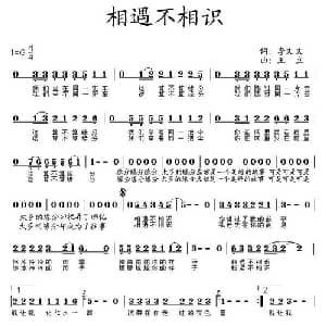 相遇不相识_通俗唱法乐谱_词曲:李文文 王立