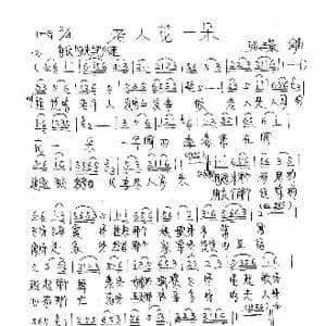 老人花一朵_歌曲简谱_词曲:张璟 张璟