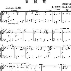 雪绒花_歌曲简谱_词曲: 沈建国编曲