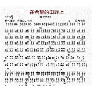 在希望的田野上_歌曲简谱_词曲: 李国林配器