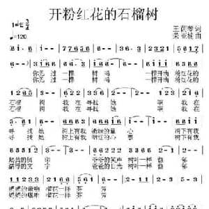 开粉红花的石榴树_民歌简谱_词曲:王荫琴 荣亚楠
