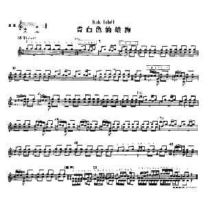 青白色的雄狗 冬不拉