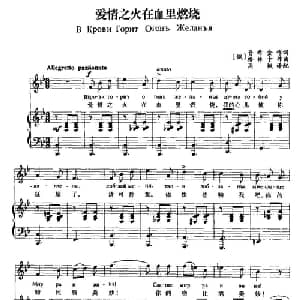 爱情之火在血里燃烧 俄罗斯 _外国歌谱_词曲: 俄 普希金 俄 格林卡
