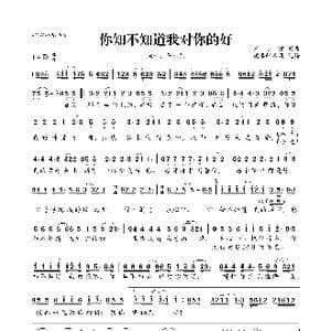 你知不知道我对你的好_歌曲简谱_词曲:王小荣 王小荣