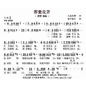 荞麦花开_歌曲简谱_词曲:大漠红柳 轻云望月