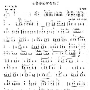 二胡谱 | 吐鲁番的葡萄熟了 施光南