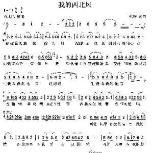 我的西北风_歌曲简谱_词曲:张璟 张璟