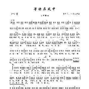 等你在风中_歌曲简谱_词曲:平凡人 小龙女 平凡人 小龙女