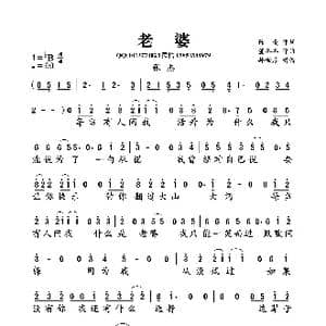 老婆_歌曲简谱_词曲:陈曦 董冬冬