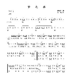 梦之旅_歌曲简谱_词曲:甄勇刚 颜飙