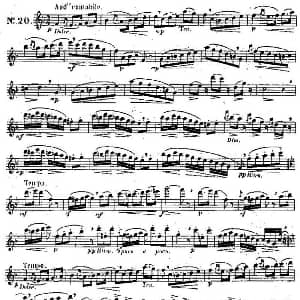 长笛曲谱 | 二十首练习曲作品131号 NO.20 Garibold 加里波第