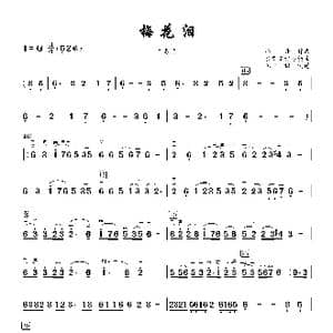 梅花泪_歌谱投稿_词曲:刘海东 冯丹