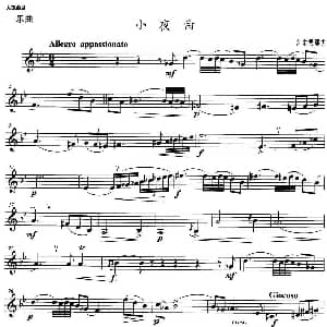 小号考级九级 小夜曲 安东费耶夫