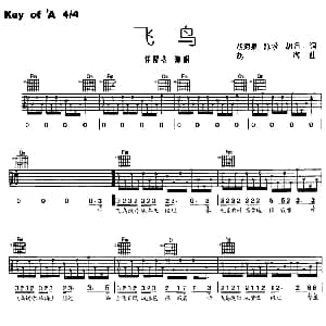 飞鸟 吉他谱 任贤齐 胡海泉 胡海