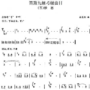 笛箫九级考级曲目 妙思 张宝庆