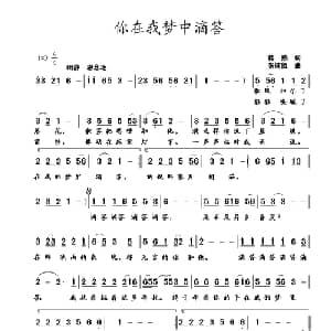 你在我梦中滴答_通俗唱法乐谱_词曲:蒋燕 张纯位