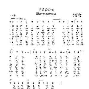 芦苇沙沙响Шумел камыш_歌曲简谱_词曲:俄罗斯民歌