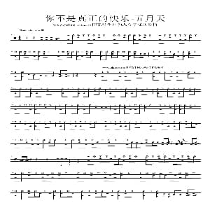 你不是真正的快乐 架子鼓谱
