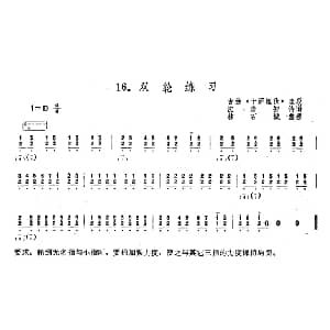 琵琶谱 | 双轮练习 古曲 十面埋伏 选段 沈浩初传谱 林石城整理