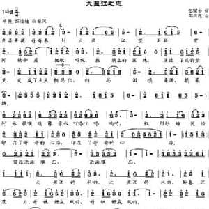 大盈江之恋_民歌简谱_词曲:邹国金 邹兴淮