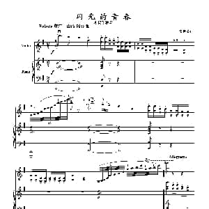 小提琴谱 | 闪光的青春 小提琴独奏 钢琴伴奏 张延龄