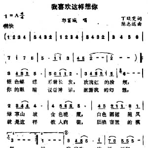 我喜欢这样想你_通俗唱法乐谱_词曲:丁晓雯 陈志远