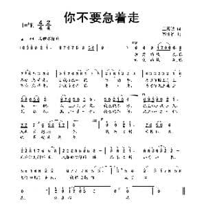 你不要急着走_歌曲简谱_词曲:王秀敏 蔡体润