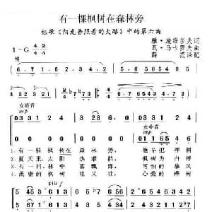 有一棵枫树在森林旁_外国歌谱