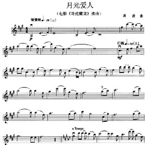 小提琴谱 | 月光爱人 电影 卧虎藏龙 插曲 谭盾