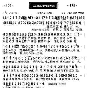 夏夜的红玫瑰_歌曲简谱_词曲:大哈,江枫渔火