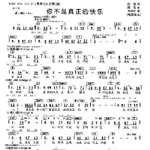 你不是真正的快乐_通俗唱法乐谱_词曲:阿信 阿信