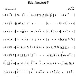 笛子谱 | 你是我的玫瑰花 大鹏