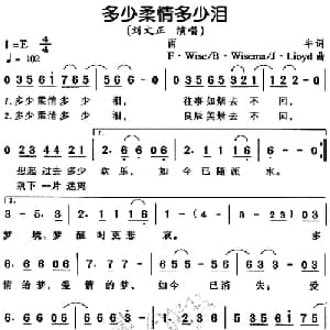 多少柔情多少泪_通俗唱法乐谱_词曲:雨牛