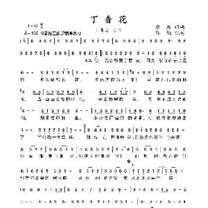 丁香花_歌曲简谱_词曲:唐磊 唐磊